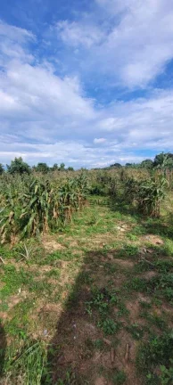 Imagem Sítio à venda, 45.000 m² por R$ 1.200.000 - Área Rural - Monte Mor/SP