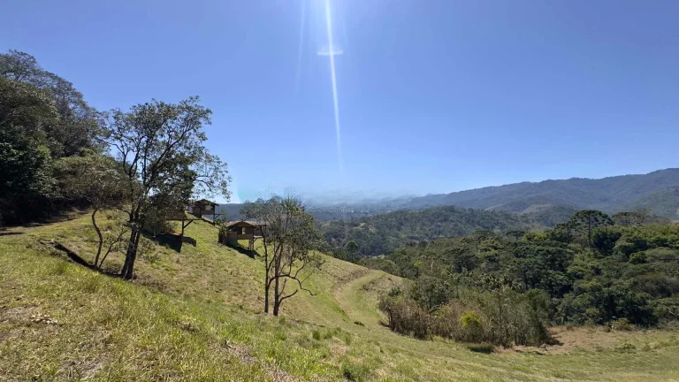 Imagem Exclusividade e Potencial Hoteleiro em Santo Antônio do Pinhal: 83.000 m² com Acesso 100% Asfaltado