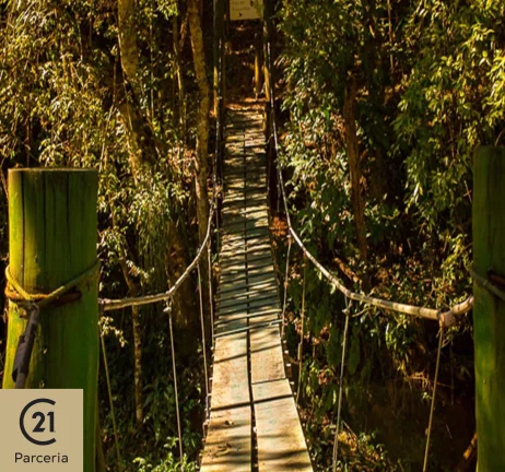 Imagem Fazenda/Pousada ;Oportunidade Negocio, 120.000 m2 em Sao Francisco de Xavier, Paraiso preservado