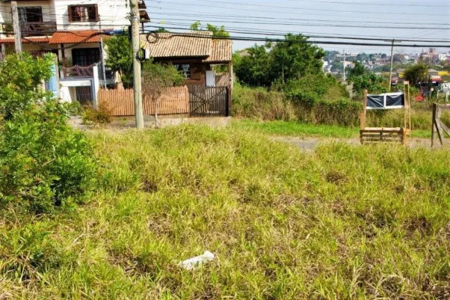 Imagem Terreno - Bairro Alto Petropolis