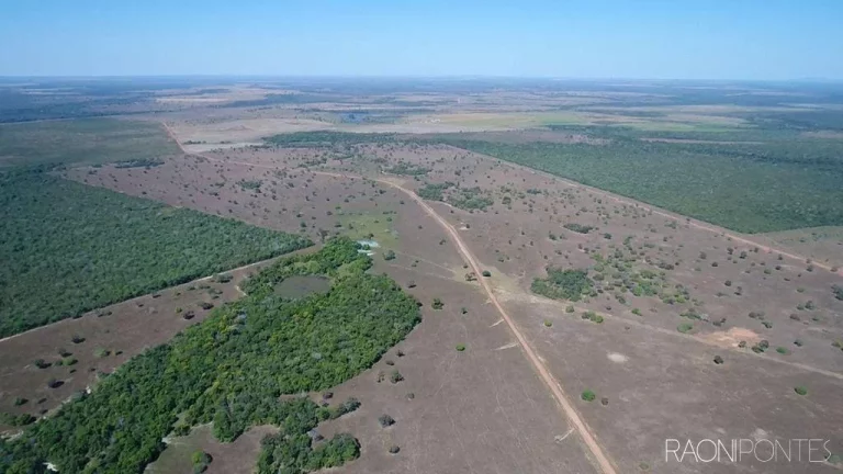 Imagem Fazenda à Venda, 46.464.000 m² em Zona Rural - Peixe