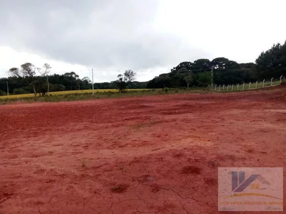 Imagem Terreno para Venda em São José dos Pinhais, Campo Largo da Roseira