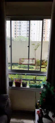 Imagem Apartamento em Vila Arriete - São Paulo