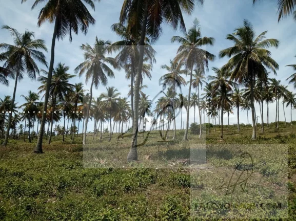 Imagem Terreno para Venda em Conde / BA no bairro Barra do Itariri