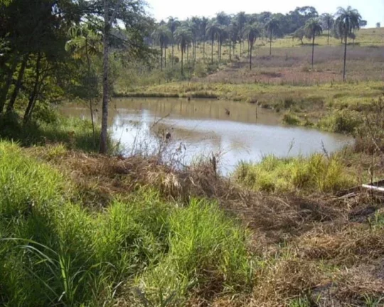 Imagem LINDO HARAS à VENDA, EM JUATUBA!