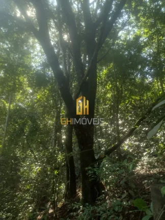 Imagem Chácara em Bela Vista de Goiás 

- Área total: 2 hectares; 
- Bela vista de Goiás 
- Entrada no ...