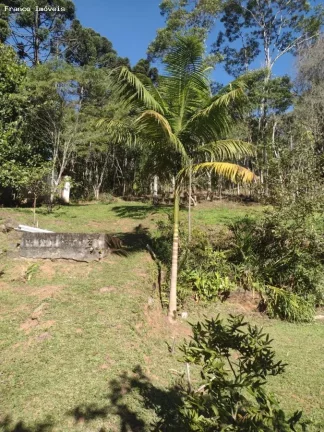Imagem Sítio para Venda em Ribeirão Pires, Somma, 3 dormitórios, 1 suíte, 2 banheiros, 10 vagas