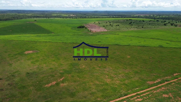 Imagem Fazenda dupla aptidão a venda em Nova Xavantina-MT