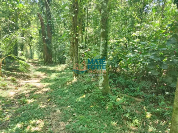 Imagem AREA DE FRENTE PARA A RODOVIA OSWALDO CRUZ (6 KM DO CENTRO)