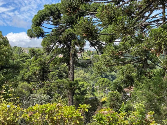 Imagem Casa à venda em Campos do Jordão - Com 3 dormitórios proximo ao Capivari