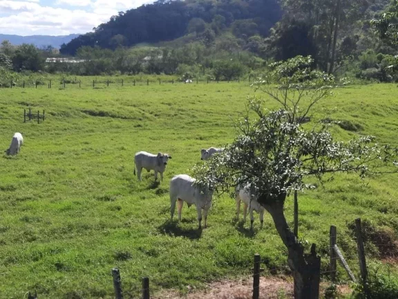 Imagem Terreno à Venda, 36.846 m2, com Viabilidade para Loteamento. Sul do Rio, Santo Amaro da Imperatriz, SC