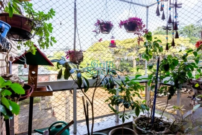 Imagem Apartamento à Venda em Indianópolis - São Paulo/SP.