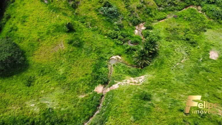 Imagem FAZENDA À VENDA A 60KM DE COLATINA / ES