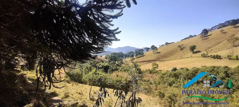 Imagem Conecte-se à Natureza: Terreno Rural com Nascente e Vista Panorâmica!
