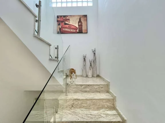 Imagem Cond Solar dos Nobres / Fazendinha - 4 sts, piscina, gourmet!