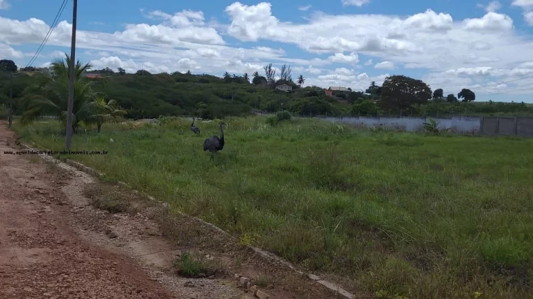 Imagem Terreno em Condomínio para Venda em Macaíba, Área Rural de Macaíba