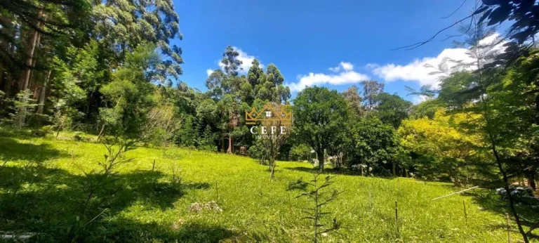 Imagem Chácara - Sítio com 2 Dormitorio(s) localizado(a) no bairro Carapina em São Francisco de Paula / RIO GRANDE DO SUL Ref.:1537