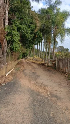 Imagem SÍTIO EM APARECIDA DO TABOADO
