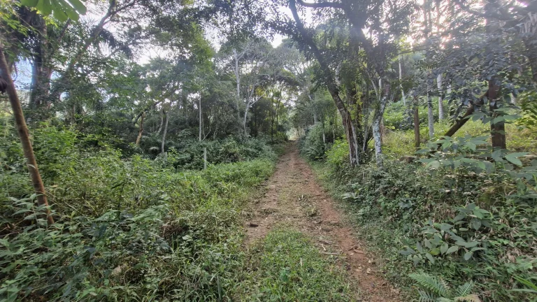 Imagem Terreno com 630m² à venda por R$200.000,00 no Siriú - Garopaba-SC