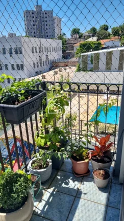 Imagem Apartamento à venda no bairro Vila da Saúde - São Paulo/SP, Zona Sul