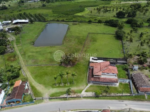 Imagem ÁREA Á VENDA EM NISIA FLORESTA