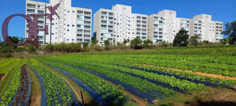 Imagem Excelente Terreno de 24.400 m² com ótima localização no bairro de Medeiros!