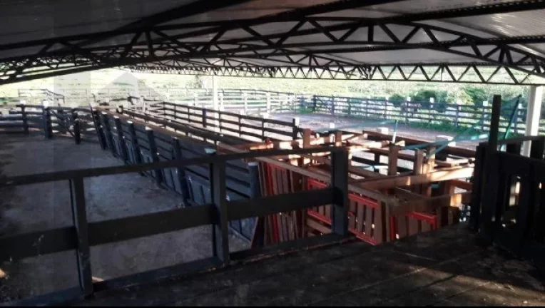 Imagem CASAL IMÓVEIS VENDE FAZENDA COM 10.500 HECTARES - MARABÁ - Pará