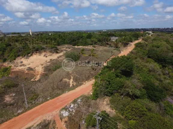 Imagem Área na BR - 101 - Em São Gonçalo do Amarante 6,8 Ha