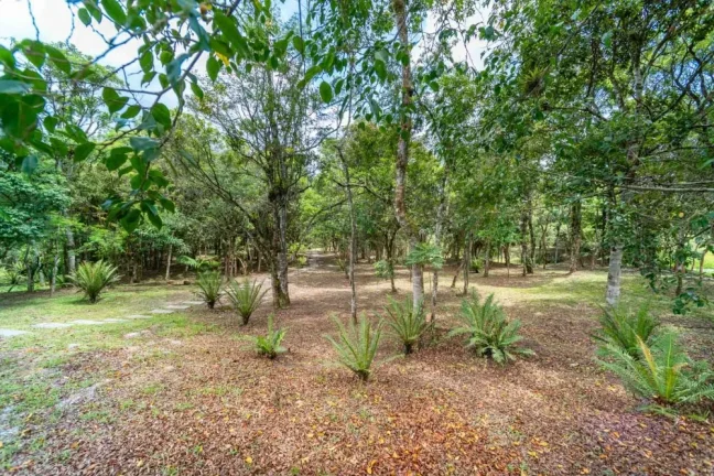 Imagem Terreno em Camboriú - Rio do Meio