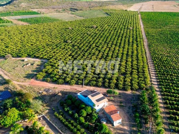 Fazenda à venda, 14,5 hc produzindo caju, goiaba e sapota.
