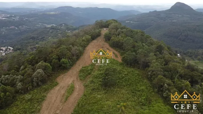 Imagem Chácara - Sítio com 4 Dormitorio(s) localizado(a) no bairro Linha Tapera em Gramado / RIO GRANDE DO SUL Ref.:1416