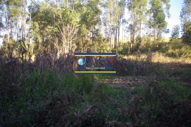 Imagem Chácara 20.000 metros R$ 600.000 a venda em Muzambinho - MG, serve para morar ou montar empresa.