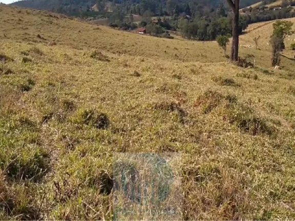 Imagem Sítio planta café 22,34 alqueires, terra vermelha, casa, água, galpão - Zona Rural - Biguatinga l de Minas Gerais