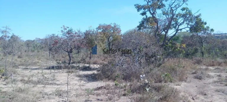 Imagem Chácara para Venda em Brasília, Setor Habitacional Jardim Botânico