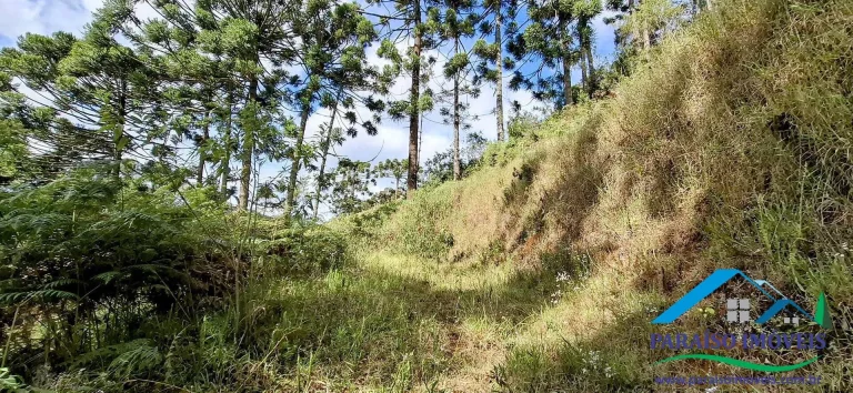 Imagem Viva o sonho na Serra da Mantiqueira neste aconchegante terreno!