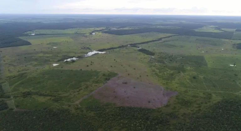 Imagem Fazenda à Venda, 13.360.000 m² em Zona Rural - Santa Rita Do Tocantins