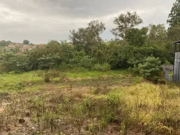 Imagem Lote à Venda com 3.000m2 -Excelente Localização na Colônia Rodrigo Silva