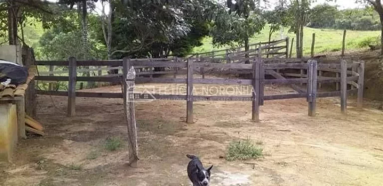 Imagem Fazenda a venda
