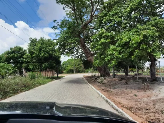 Imagem Granja para Venda em Macaíba, Centro, 2 dormitórios, 3 banheiros, 9 vagas