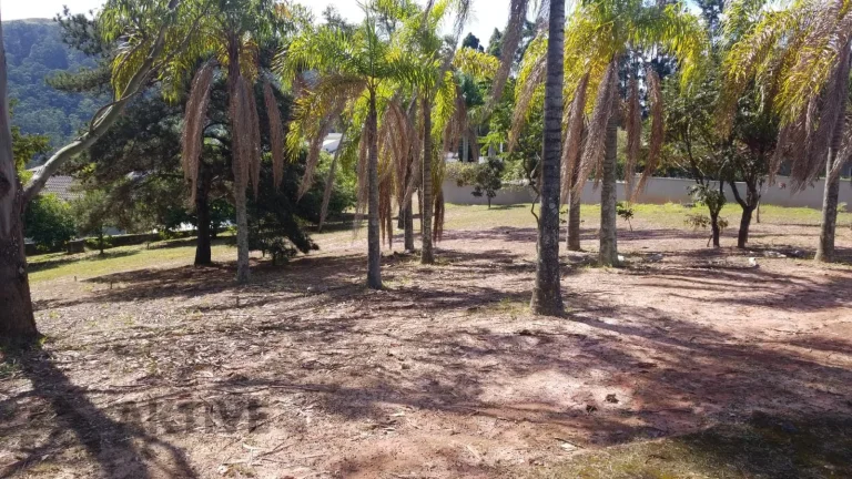 Imagem Terreno em Tamboré - Barueri, SP