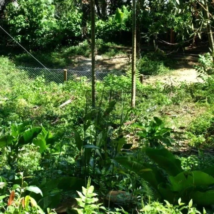 Imagem Terreno para Venda em Ubatuba / SP no bairro Enseada