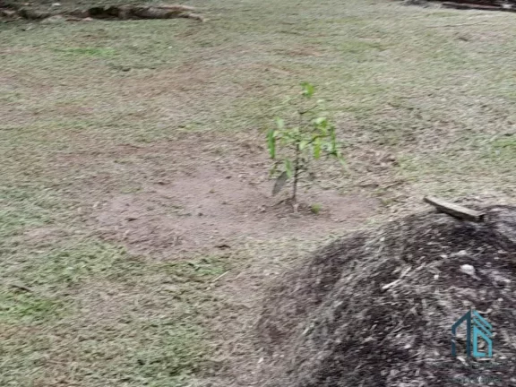 Imagem Chácara contendo tanque de peixes, 02 casas, internet, em condomínio - Morretes PR