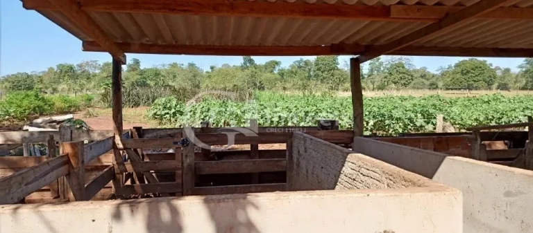 Imagem Chácara à venda em Terenos-MS, Zona Rural: 5 quartos, 1 suíte, 2 salas, 3 banheiros, 180m² de área!