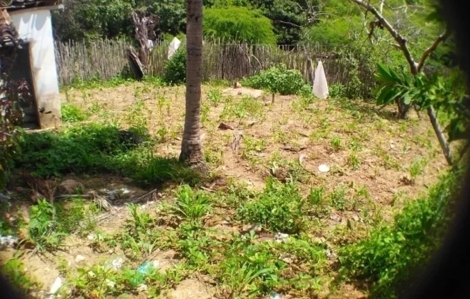 Imagem Venda terreno em carapotos