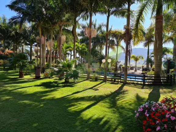 Imagem Espetacular Sítio dentro da Cidade com 36.000m² em Piracaia