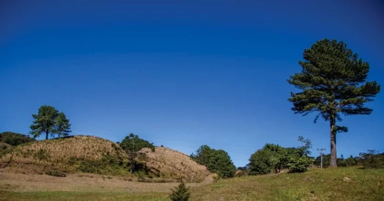 Imagem Terreno para Venda em Rancho Queimado / SC no bairro Villa do Prado