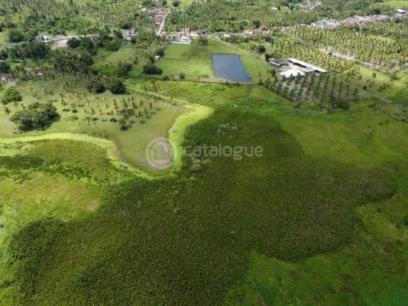 Imagem ÁREA Á VENDA EM NISIA FLORESTA
