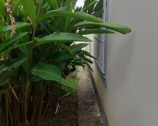 Imagem sobrado com 3 quartos e ótima localização FL26