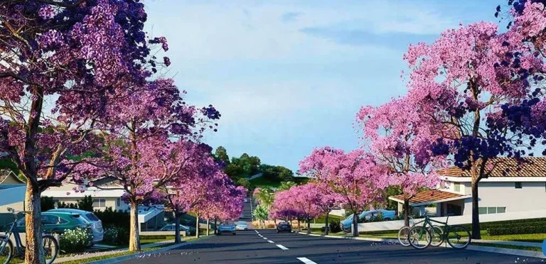 Imagem TERRENO, LOTE, CONDOMÍNIO FECHADO, VENDA E COMPRA, BRISAS JUNDIAÍ, JARDIM NOVO MUNDO, JUNDIAÍ