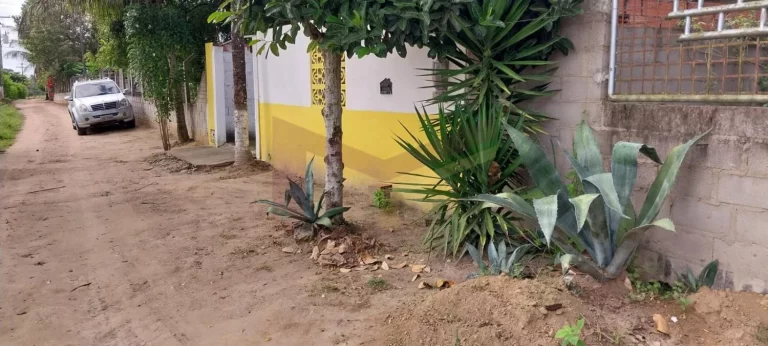 Imagem Sítio à venda